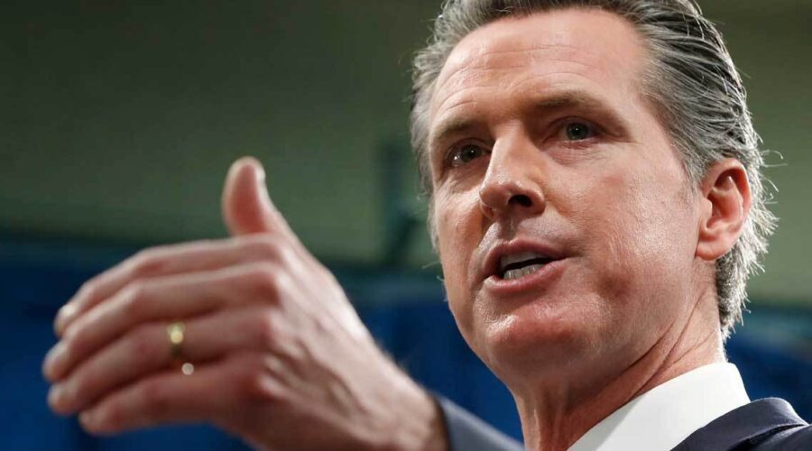 Ayahuasca Decriminalization Quashed by Governor Newsom
